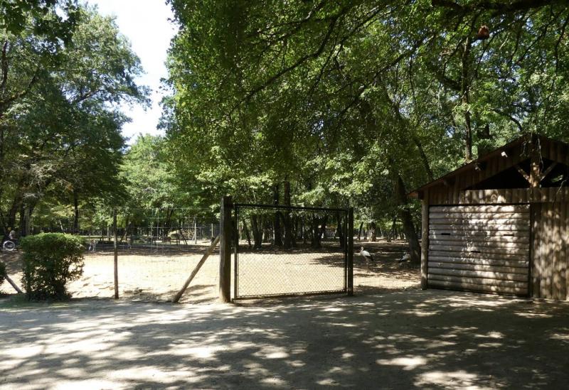 Daim - Cigogne blanche