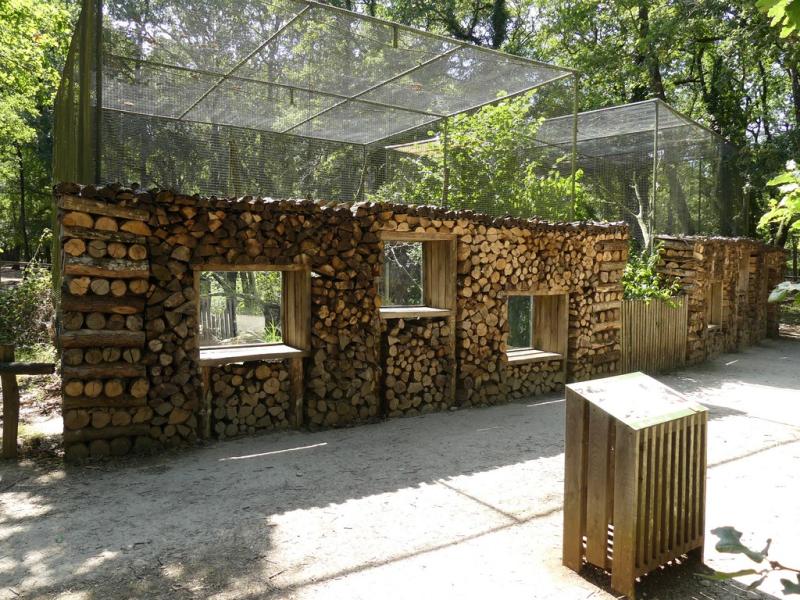 Genette - Chouette épervière