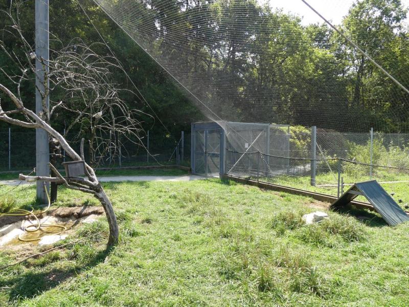 Odyssée des campagnes