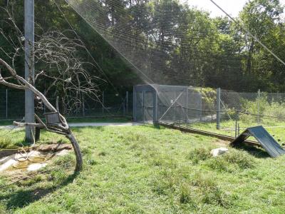 Odyssée des campagnes - 2017