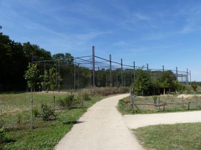 Odyssée des campagnes - 2017