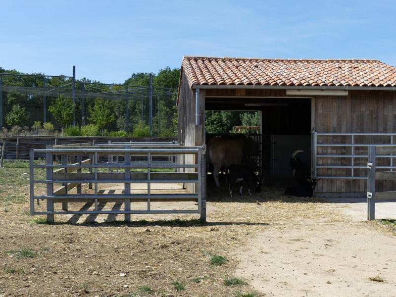 Odyssée des campagnes
