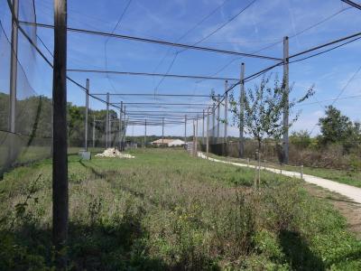 Odyssée des campagnes - 2017