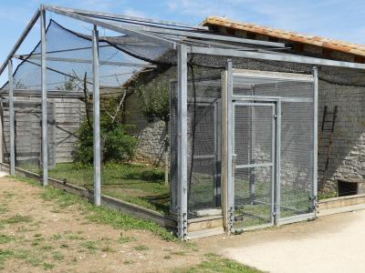 Chouette effraie - 2017