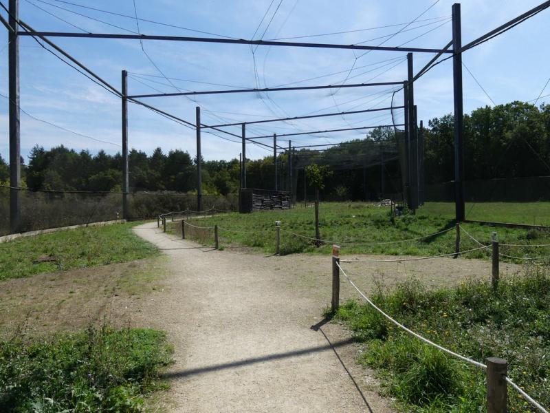 Odyssée des campagnes