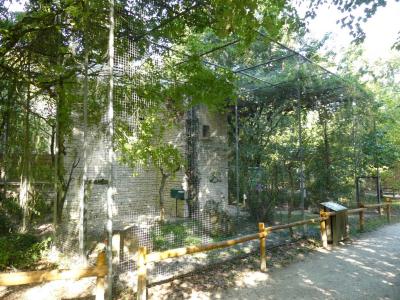 Buse variable - 2017