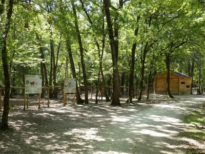 Hydropote - Muntjac - 2020