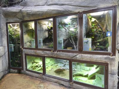 Vivarium