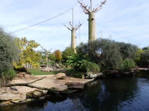 Réserve des hippopotames