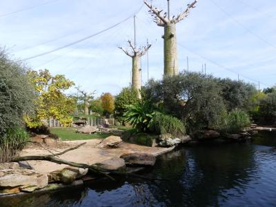 Réserve des hippopotames - 2022