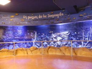 Réserve des hippopotames