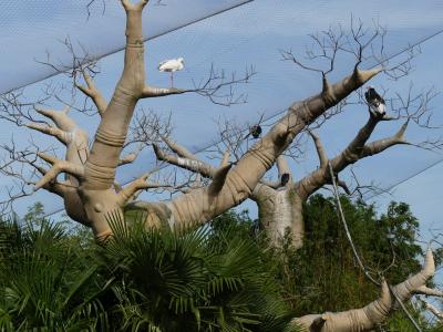 Réserve des hippopotames - 2022