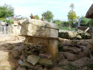 Suricate