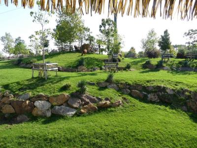 Bongo - Grue caronculée - 2022