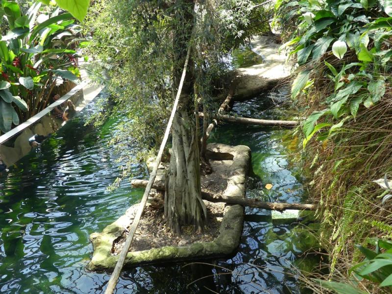 Loutre géante