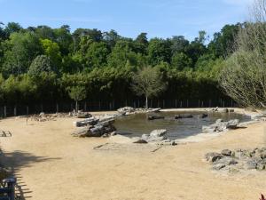 Plaine asiatique