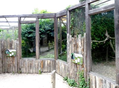 Cariama huppé - 2021