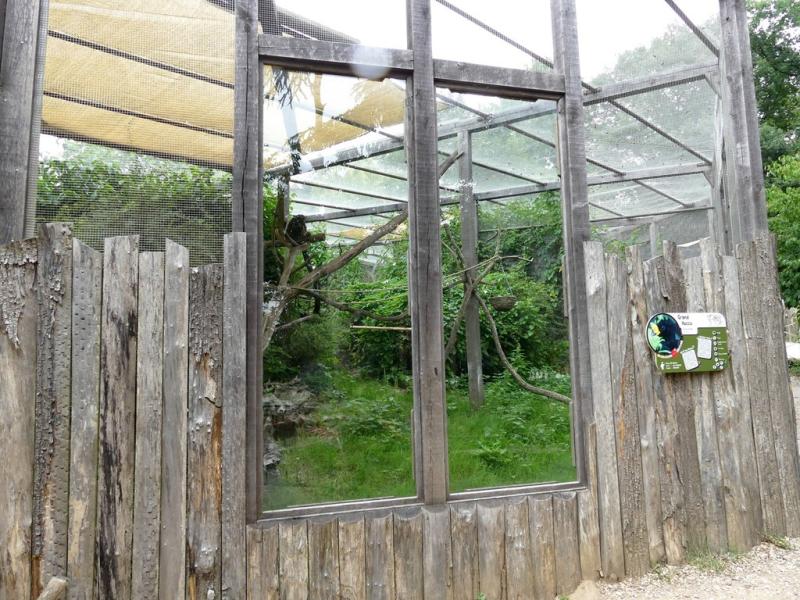 Grand hocco