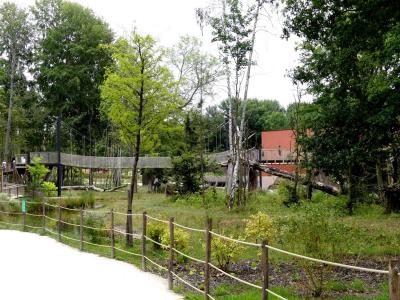 Terre de gorilles - 2021