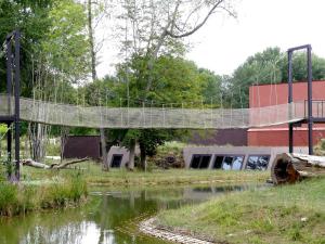 Terre de Gorilles