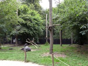 Volière des rapaces