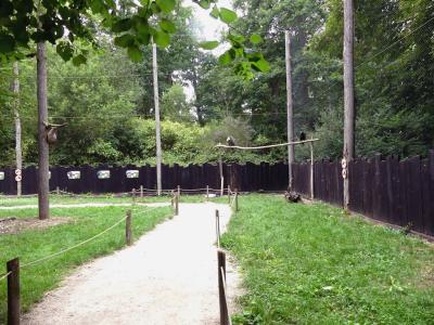 Volière des rapaces - 2021