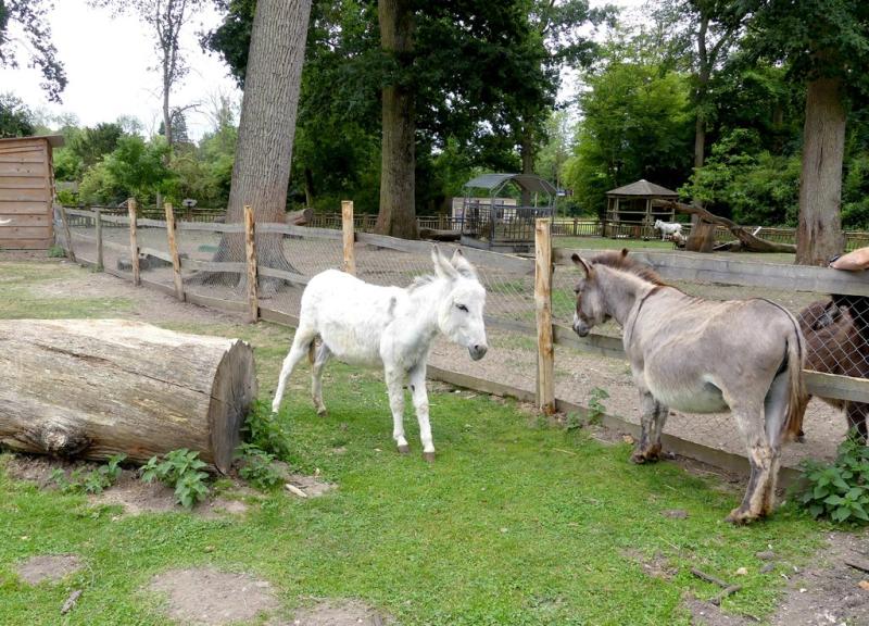 Petite ferme