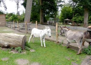 Petite ferme