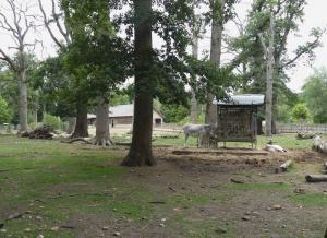 Petite ferme