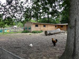Petite ferme