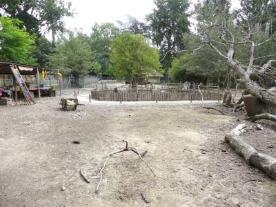 Trek des Andes - 2021