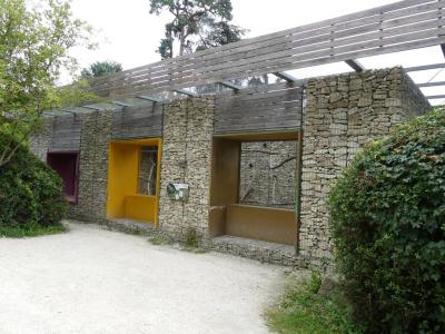 Amazone aourou - 2021