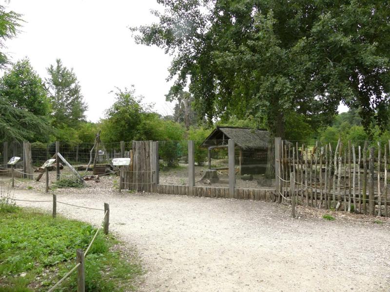 Plaine sud-américaine