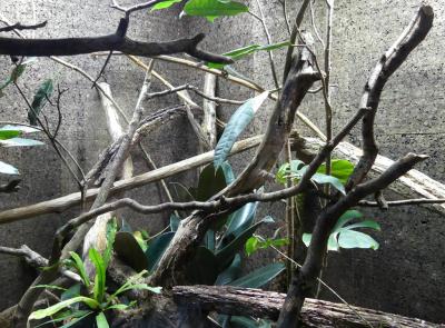 Arche des petites bètes - 2021