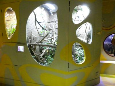 Arche des petites bètes - 2021