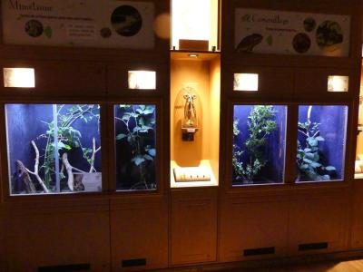 Arche des petites bètes - 2021