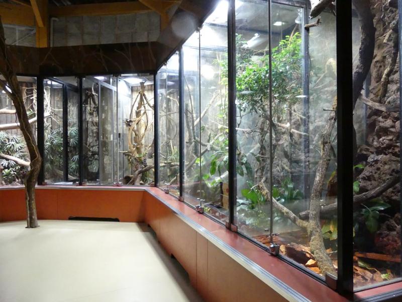 Arche des petites bètes