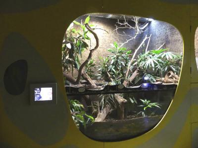 Arche des petites bètes - 2021