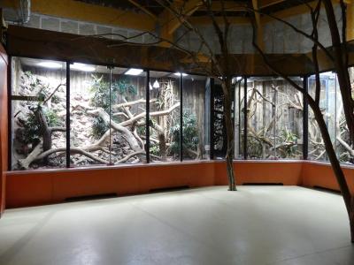 Varan de Cuming - 2021