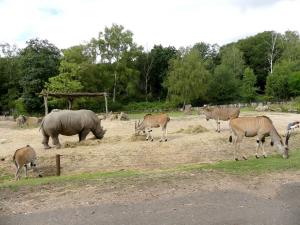 Plaine africaine