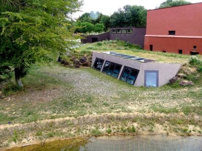 Terre de gorilles - 2021