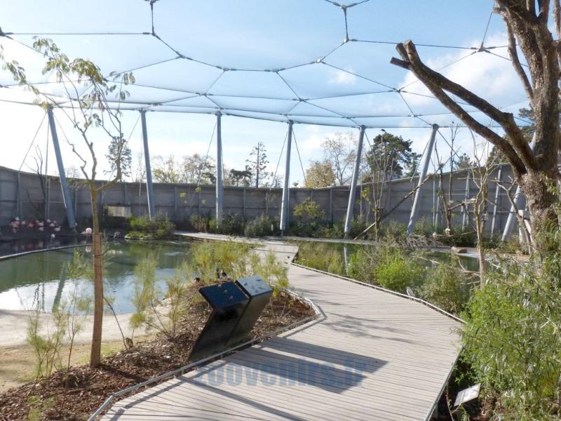 La volière africaine