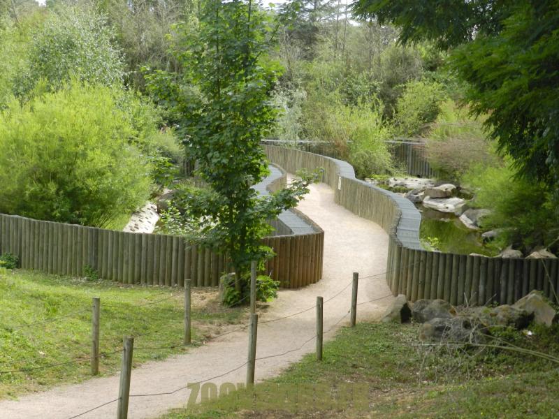 Loutre d'Europe - 2012