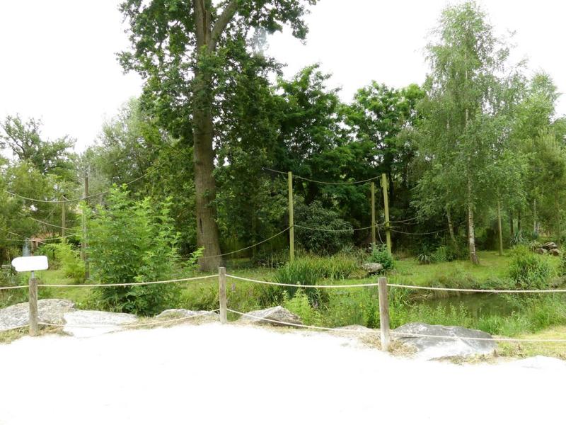 Gibbon à bonnet - 2021