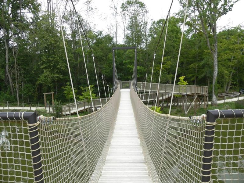 Terre de gorilles - 2021