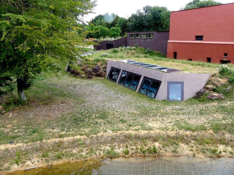 Terre de gorilles - 2021