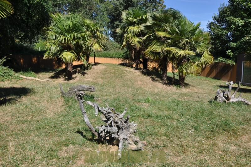 Varan du Komodo - 2012