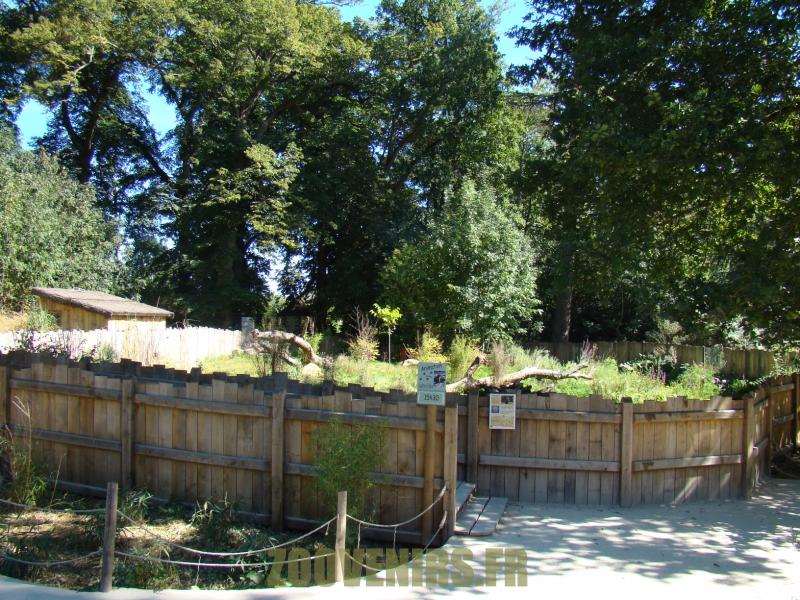 Loutre à griffes courtes - 2012