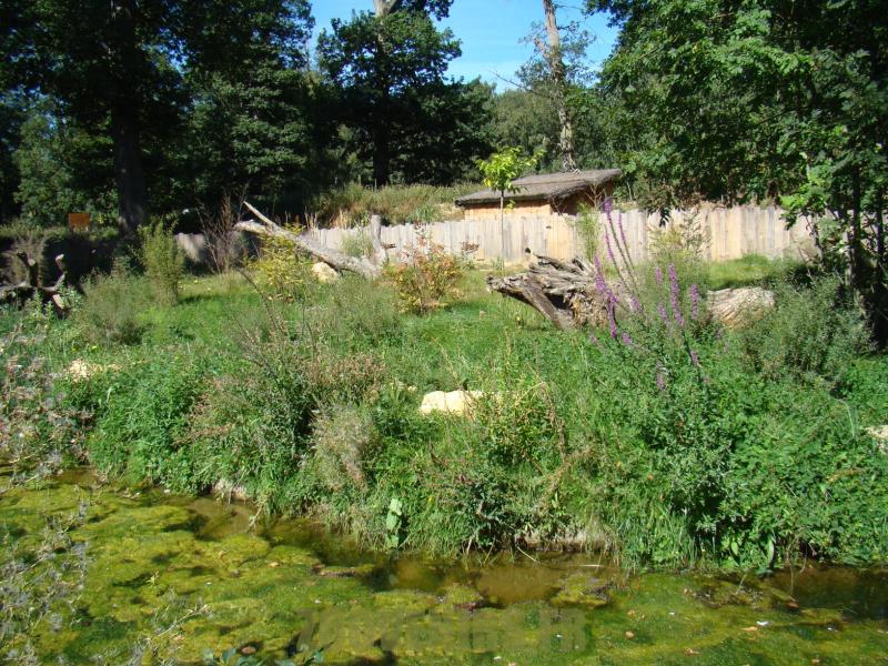 Loutre à griffes courtes - 2012