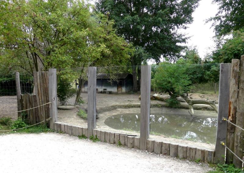 Plaine sud-américaine - 2021